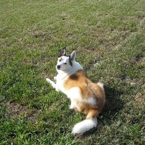 Meet your Posher, Cielo